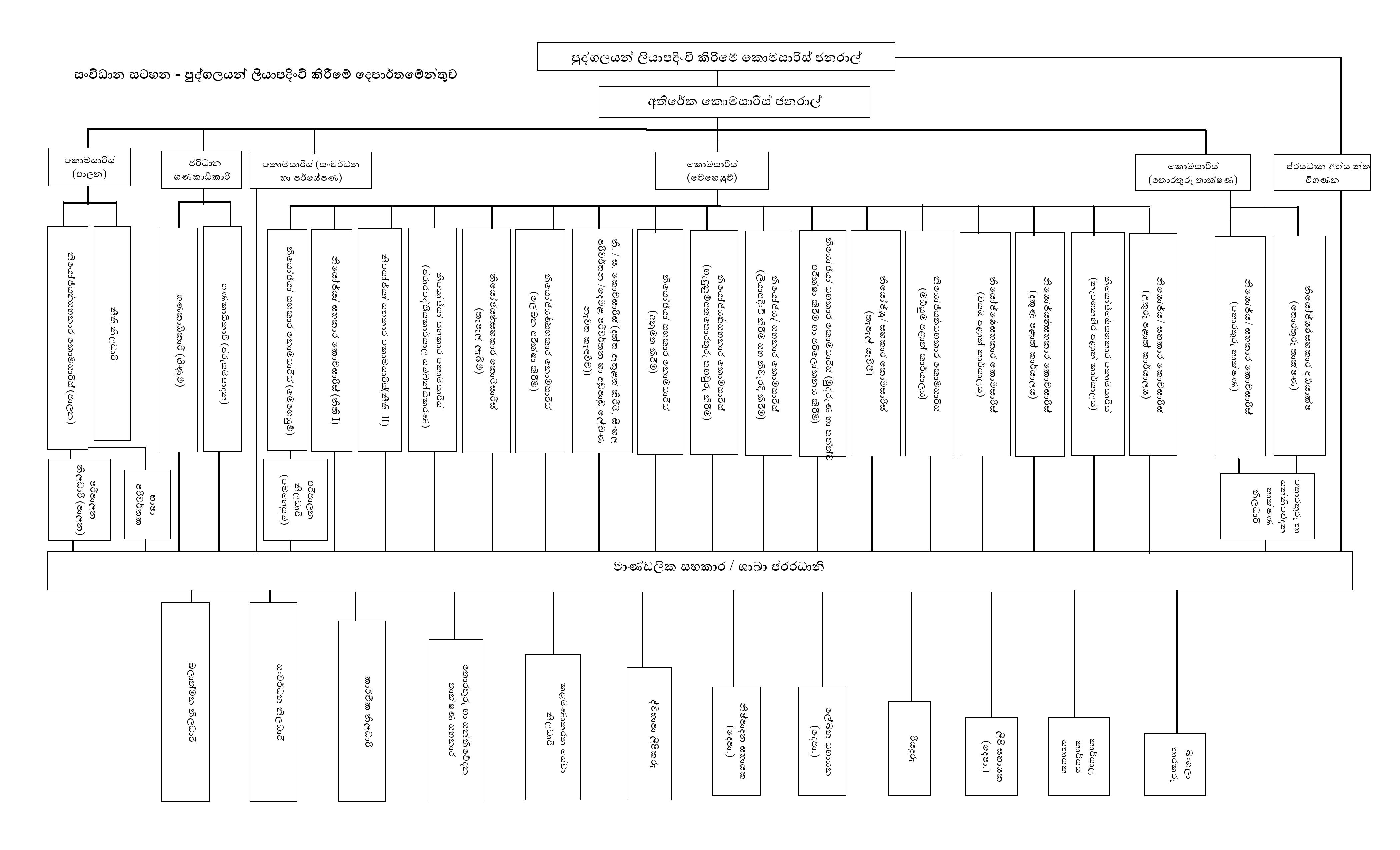 organization structure