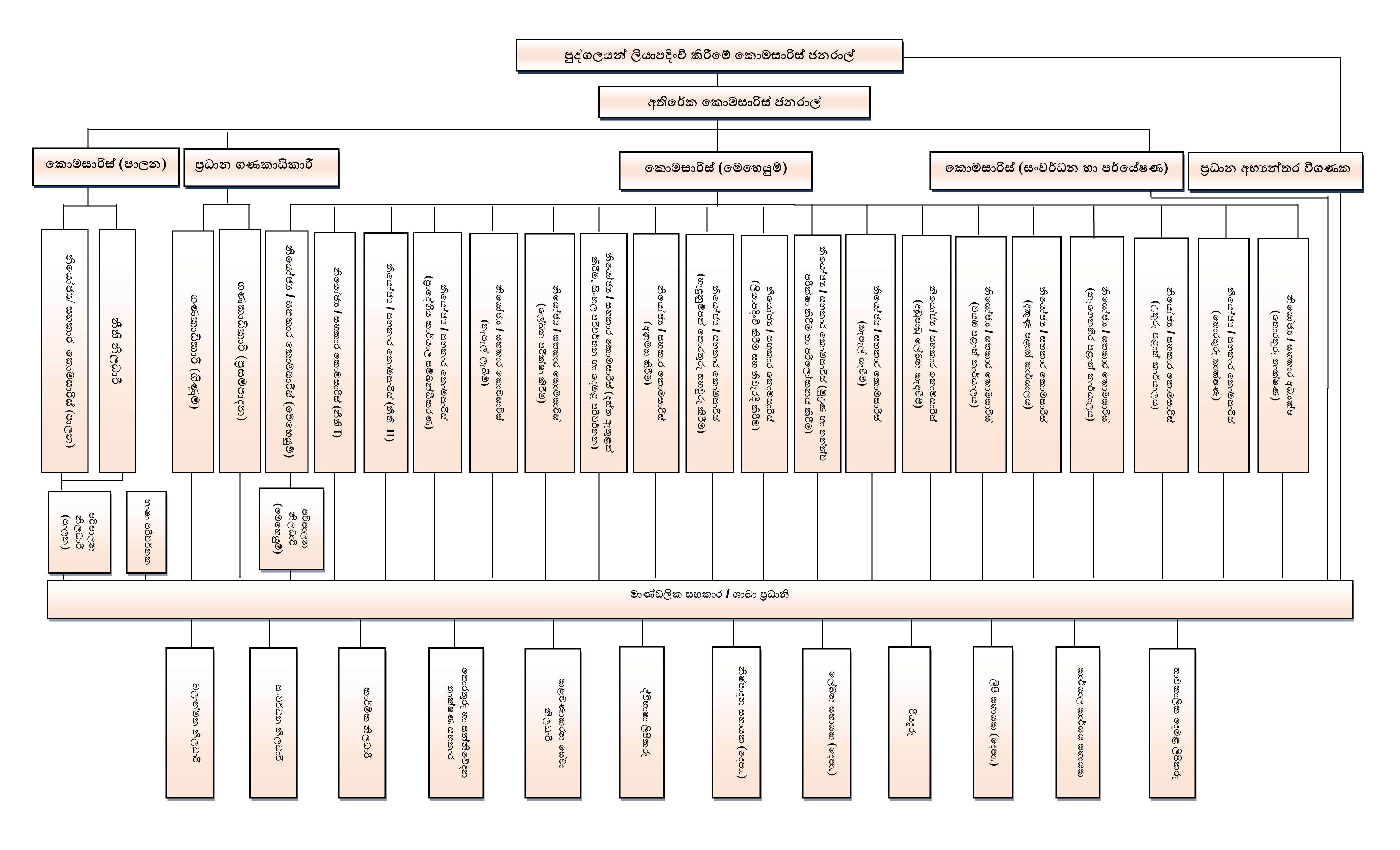 organization structure